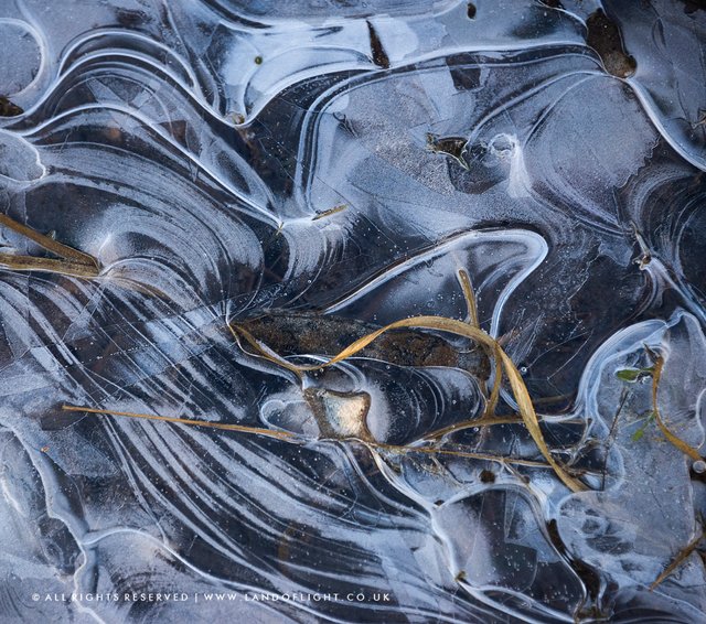 Natural Abstract_Frozen Puddle.jpg