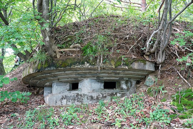 b-DSC07369.JPG