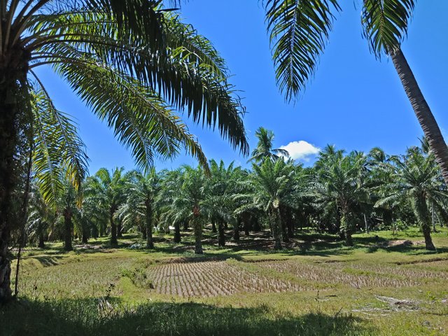 IMG20180506131953.jpg