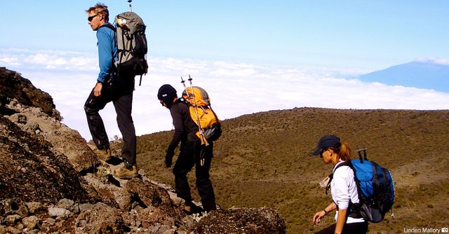 Best great adventures safaris in Tanzania.jpg