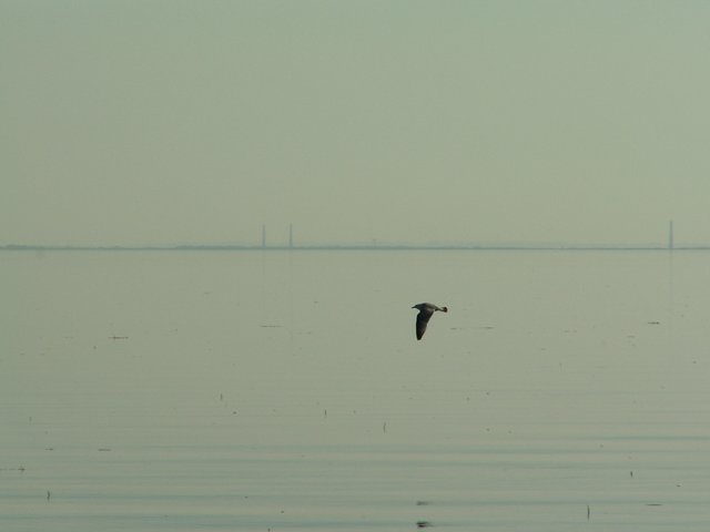 PICT0189.jpg