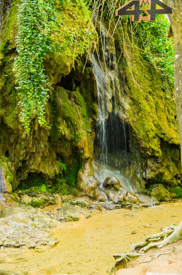 _DSC0252.jpg
