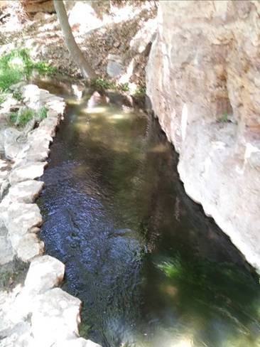 Montezuma's Well, Rimrock, AZ.jpg