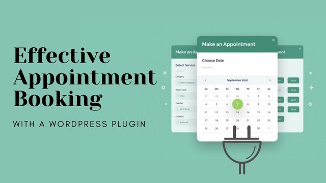 Effective Appointment Booking plugin.jpg