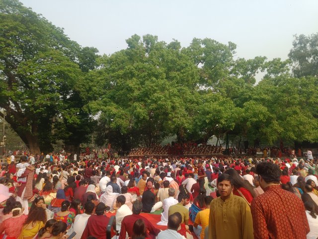IMG20250414081124.jpg