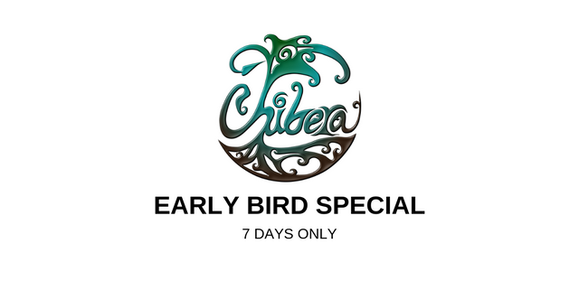 EARLY BIRD SPECIAL.png