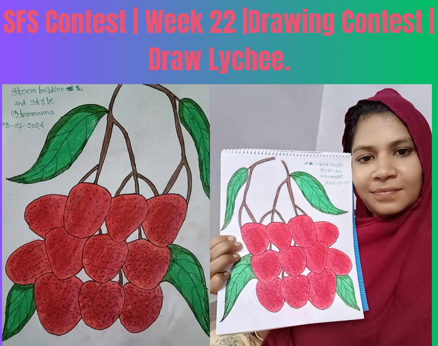 SFS Contest  Week 22 Drawing Contest  Draw Lychee..png