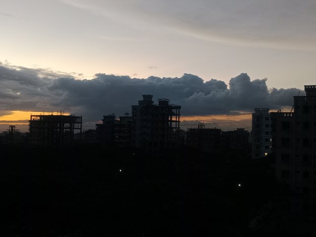 1000157333.jpg