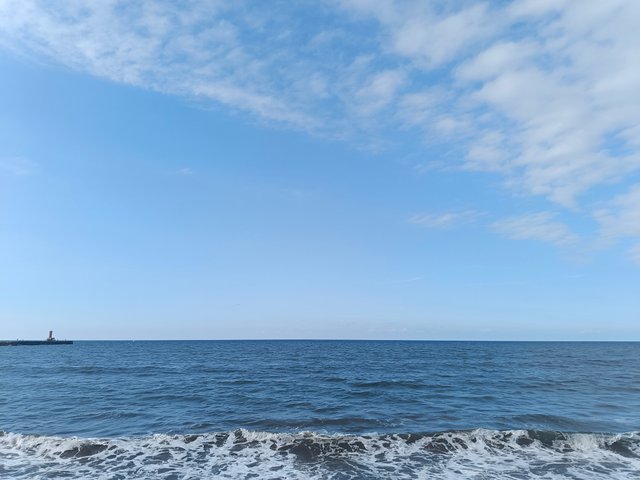 1000088445.jpg