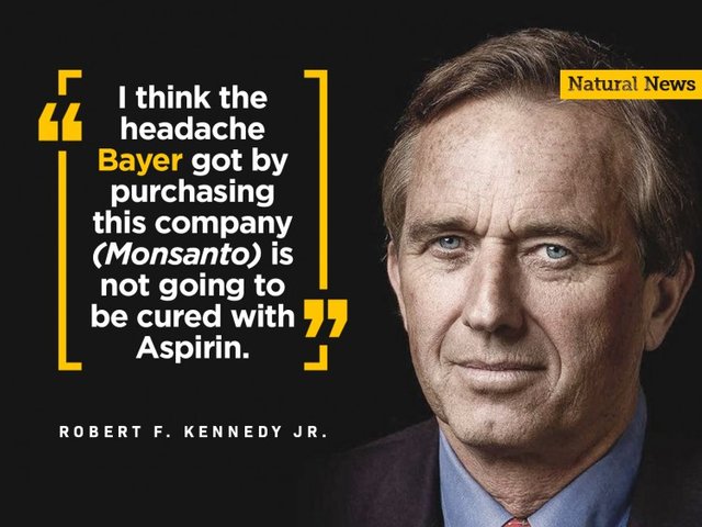 Not cured by aspirin-kennedy sbt monsanto.jpg