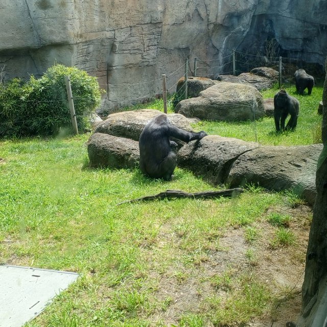 IMG_20250421_123752_050.jpg