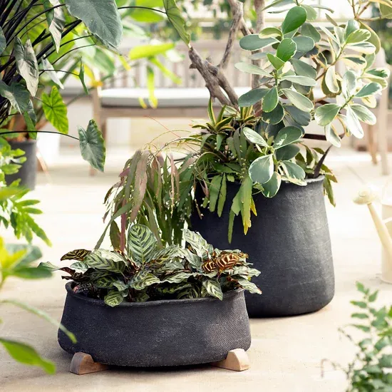 Best-Outdoor-Planters-From-Terrain.webp