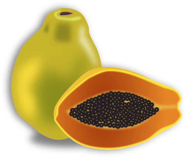 papaya-42899_640.png