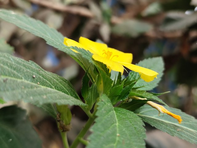 IMG_20250401_120223.jpg