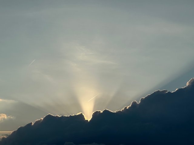 IMG_8618 3.jpeg