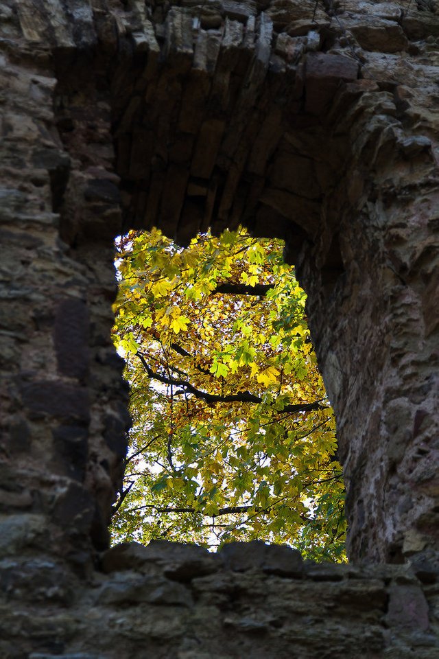10489099735-ruins-of-altenstein-castle-thuringia (FILEminimizer).jpg