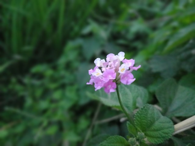20251001_175819.jpg