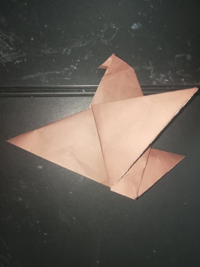 1000025774.jpg