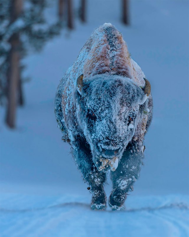 weatheraward-fubiz-2.jpg
