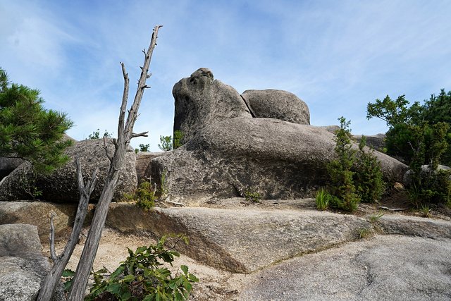 b-250723-074554.jpg