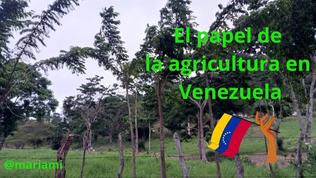 El papel de la agricultura en Venezuela.jpg