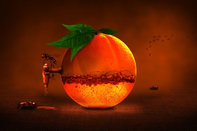 steemit lifehack The Sexual Life Of The Wandering orange-1173991_1280.jpg