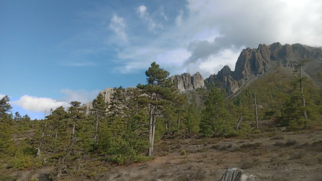 20250503_164133.jpg