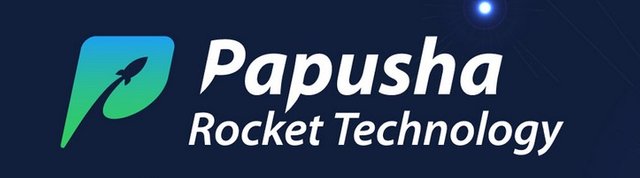 Papusha Rocket Technology ICO.jpg