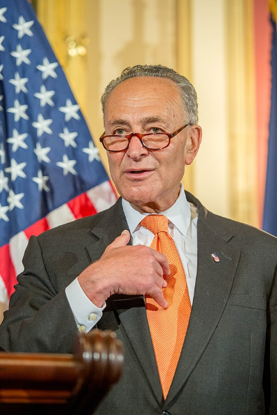 Screenshot_2018-06-29 File Senator Chuck Schumer jpg - Wikimedia Commons.png