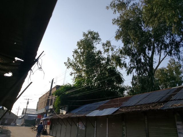 1000047580.jpg