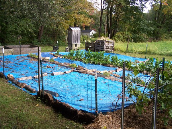 Small garden - tarps2 crop Oct. 2018.jpg