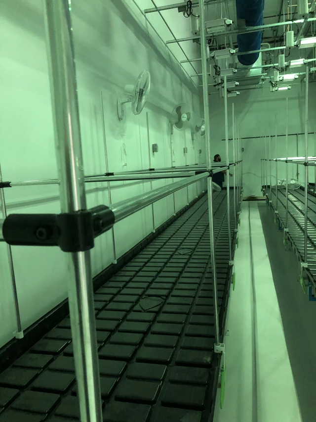 pasted image 0 (3).png