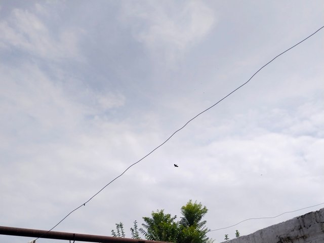 IMG_20250717_141638.jpg