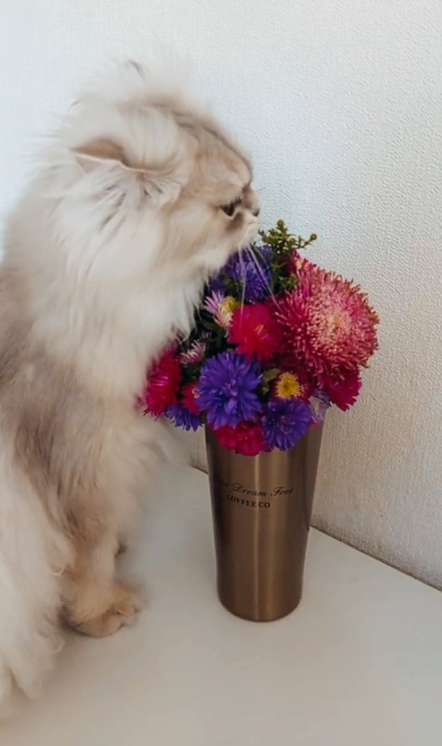 1000001917.jpg