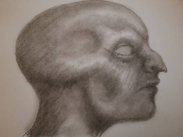 20250802_132329.jpg