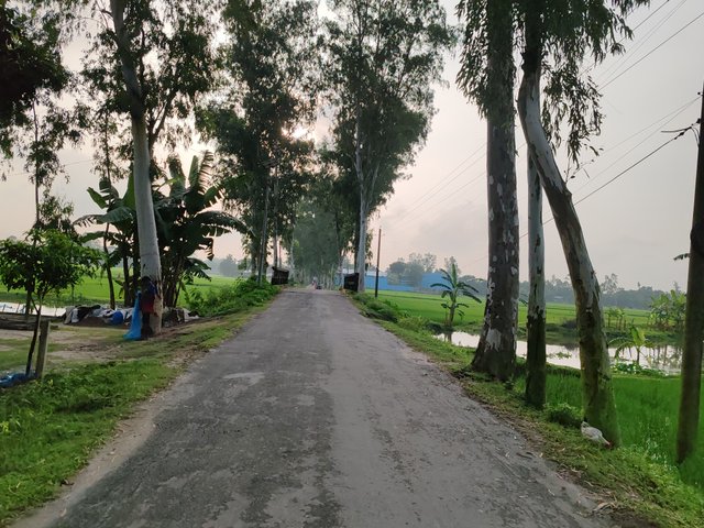 1000063232.jpg
