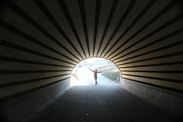 light-tunnel-central-park-order.jpg