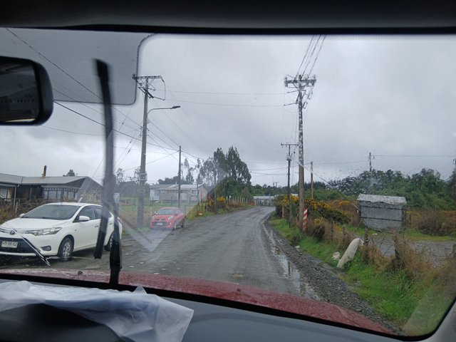 20250909_120350.jpg