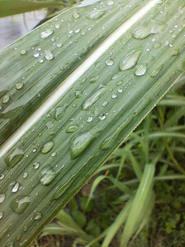 20250528_141912.jpg