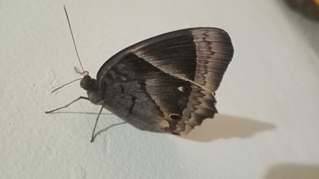 IMG20250531181959.jpg