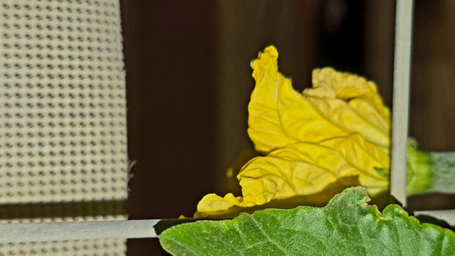 20250214_020911.jpg
