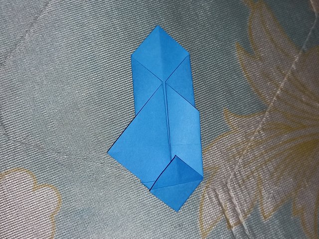 20250504_231826.jpg