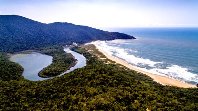 New.Wav Florianópolis SC