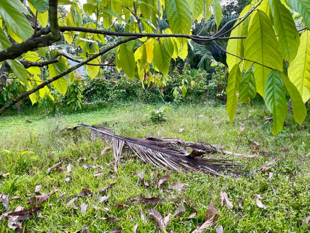 IMG_9403.jpeg