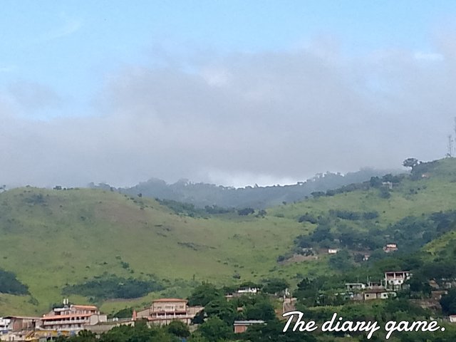 FotoGrid_20250807_112200378.jpg