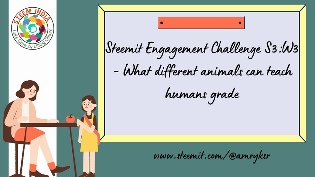 Steemit Engagement Challenge S3W3 - What different animals can teach humans grade.png