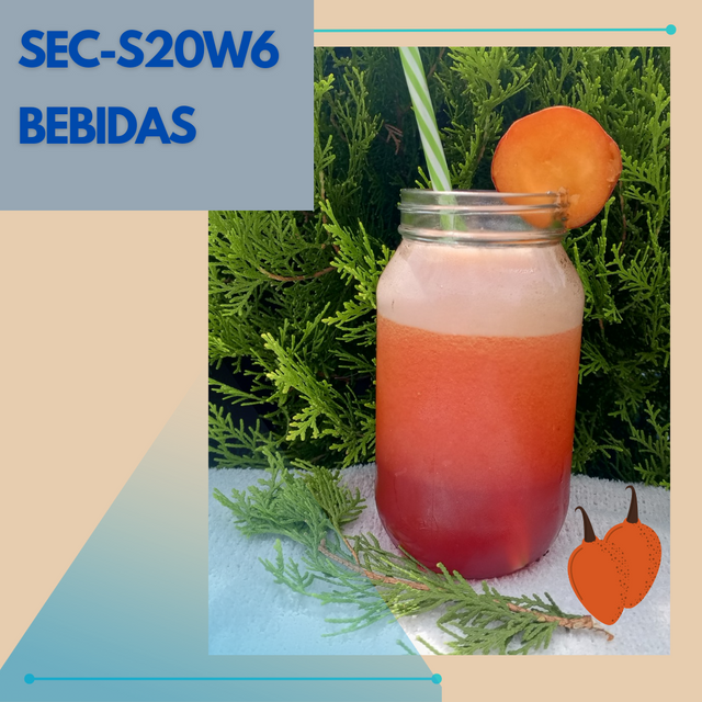 Bebidas Keto_20241016_143302_0000.png