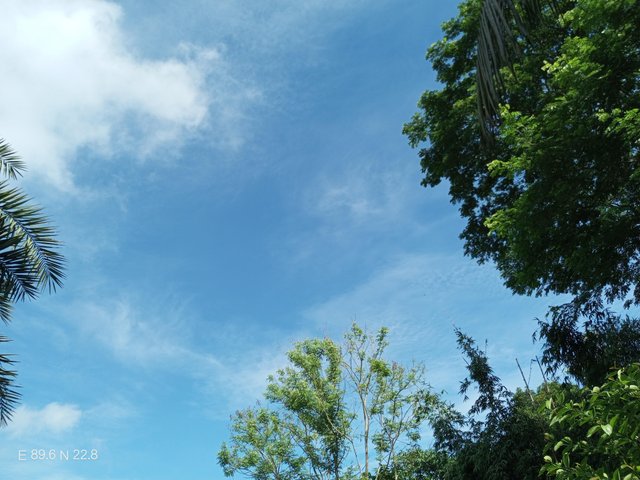 IMG_20250527_084525_614.jpg