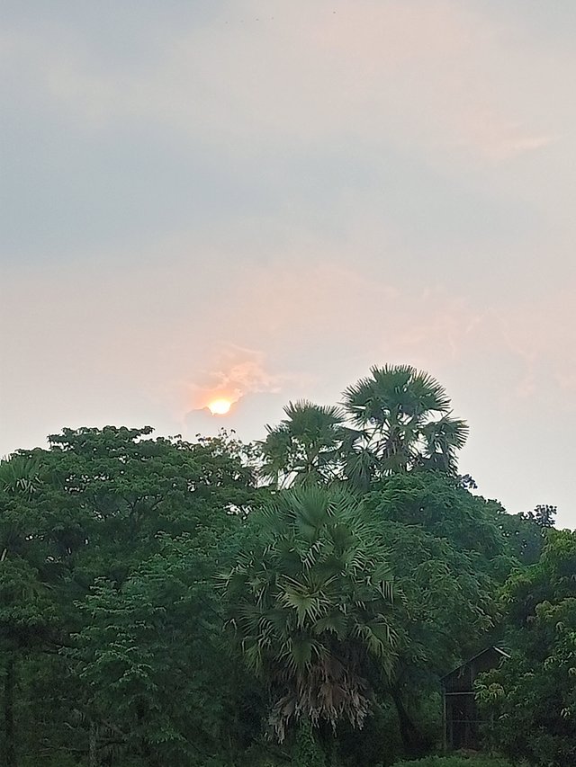 IMG20250921171058.jpg