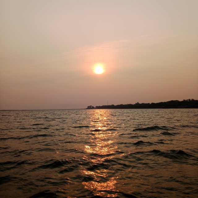 1000351640.jpg